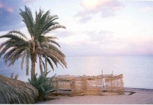 113495-AldenM1s_new_Egypt_page_Egypt